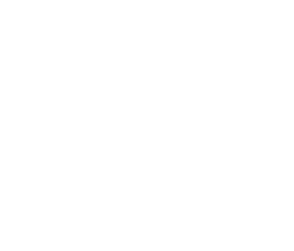 Jan de Jong